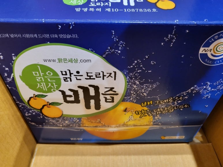 맑은세상청년 이미지