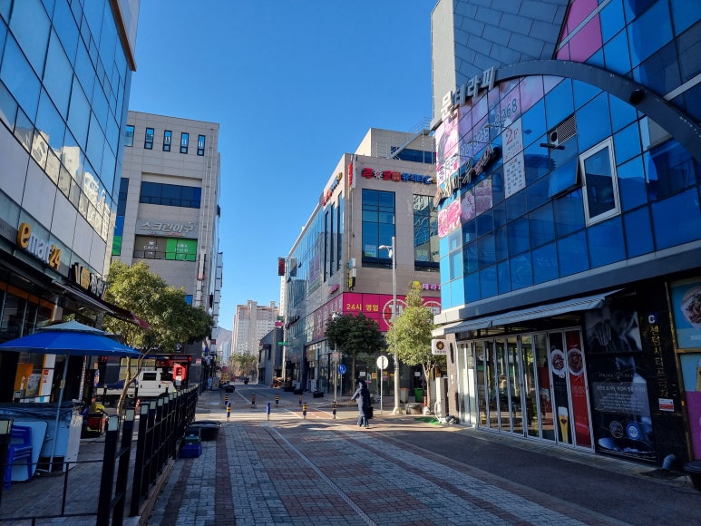 이유집양산부산대 이미지