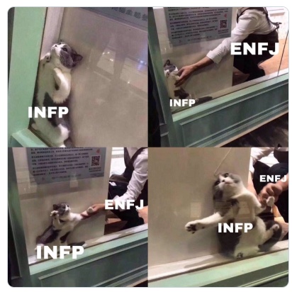 먹보대장 이미지