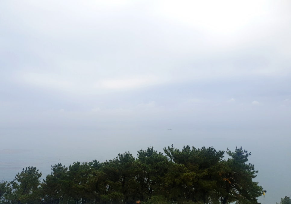 싸인디 이미지