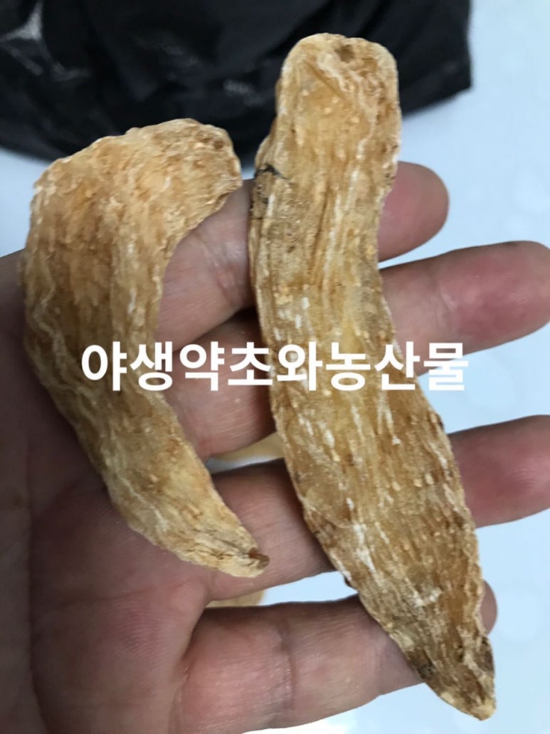 소리건재 이미지
