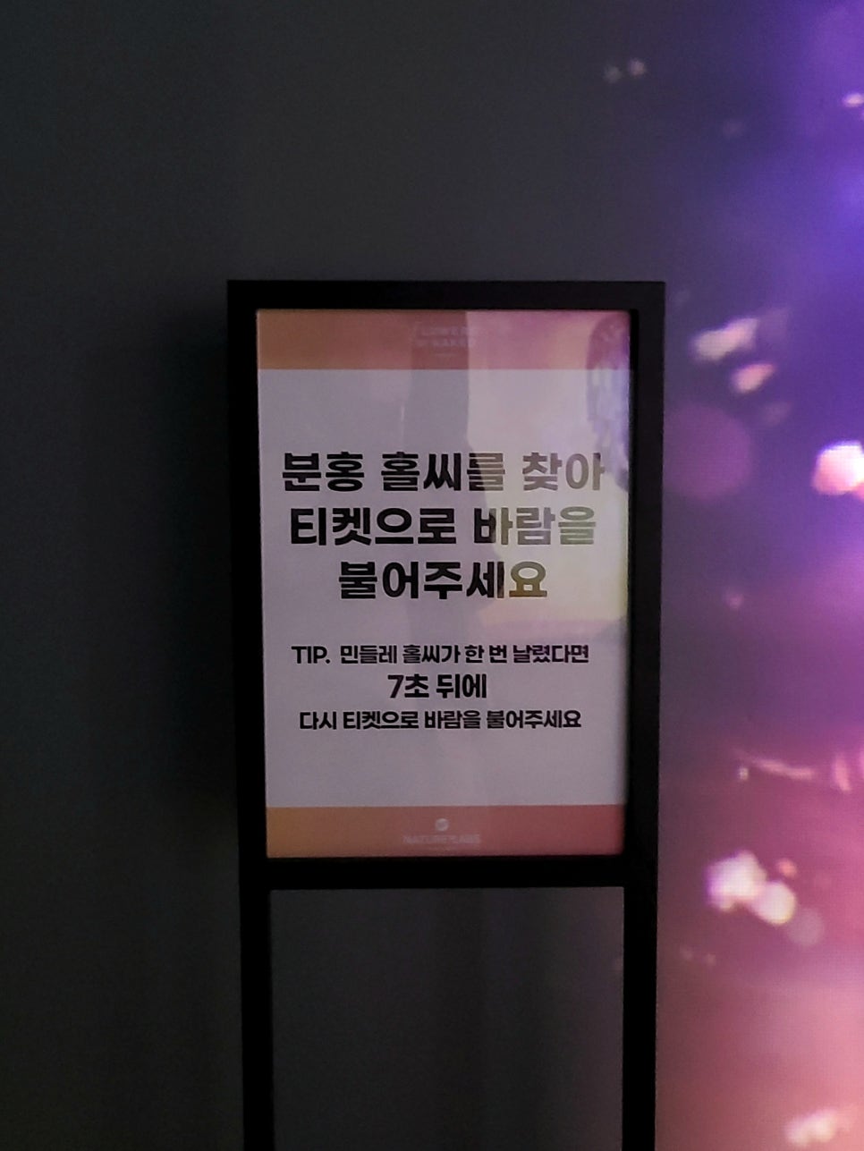 꽃나라플라워 이미지