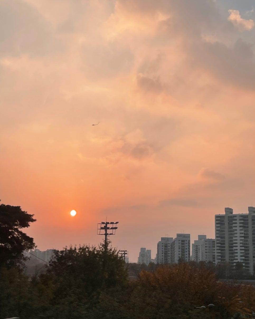 동양볼링센터 이미지