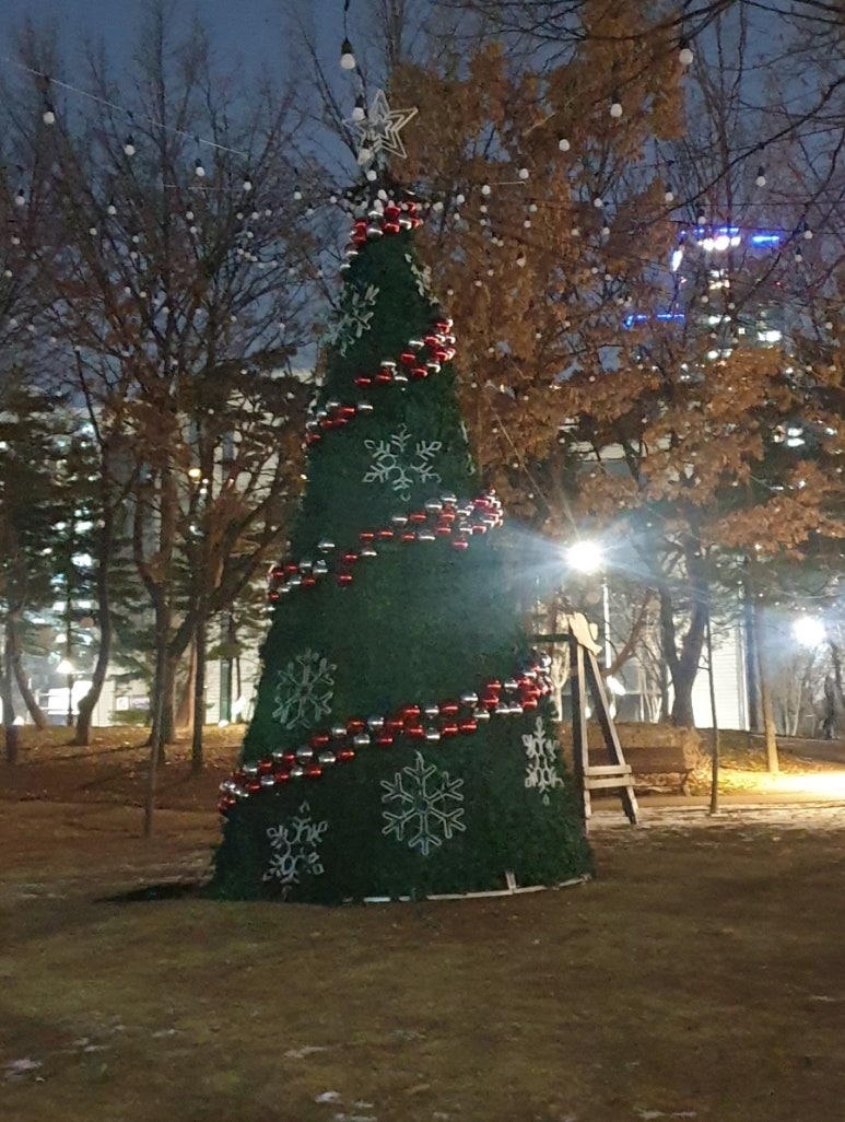 비체트리 이미지
