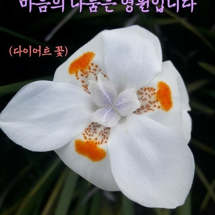 중앙가든 이미지