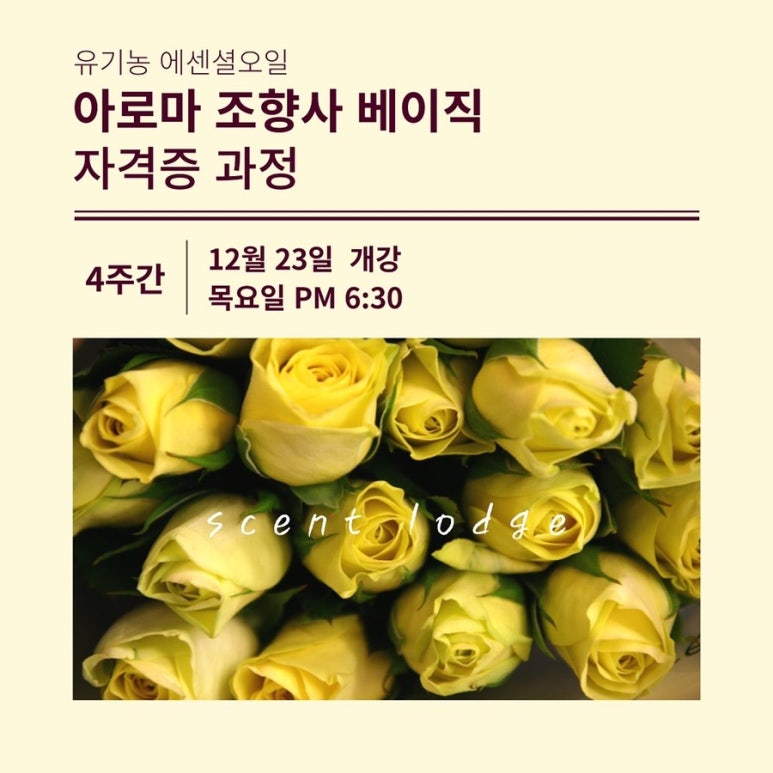 센트롯지 이미지