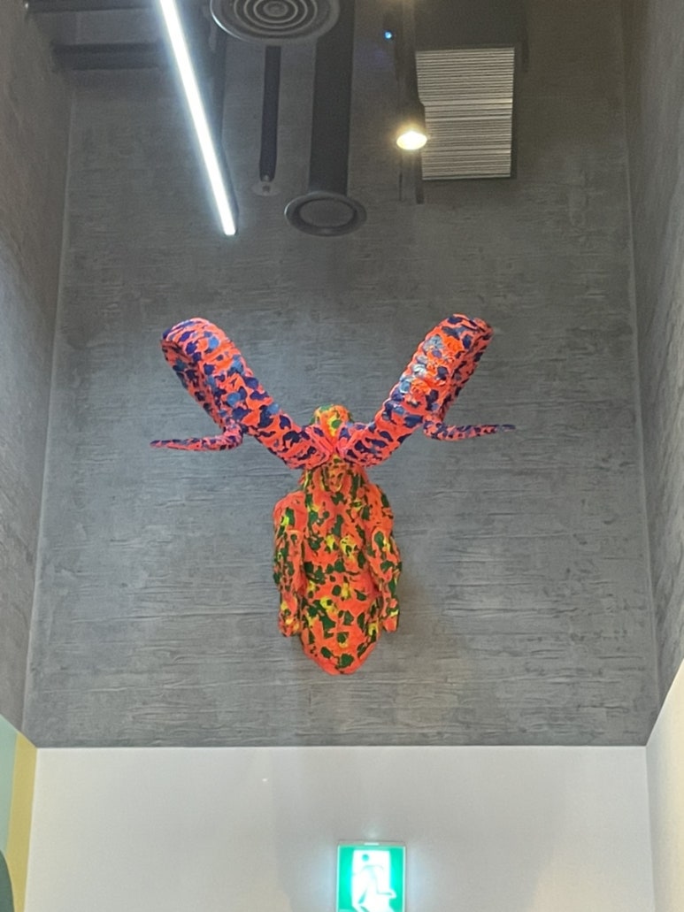 바이에이든 이미지