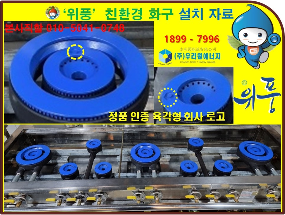 국수나무유성 이미지