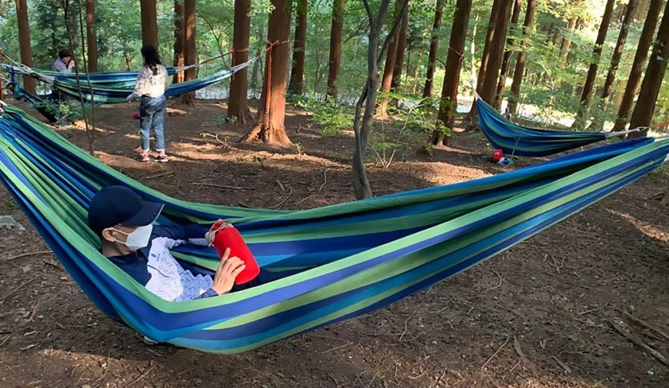 강원산림교육전문가협회 이미지