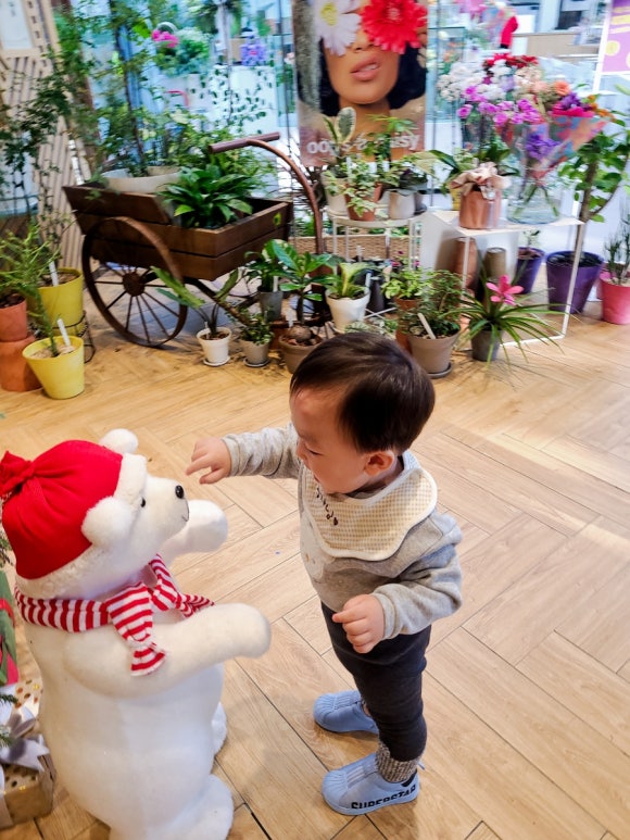 성운화원 이미지