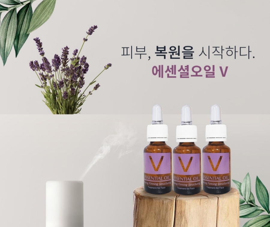 퀸에스테틱 이미지