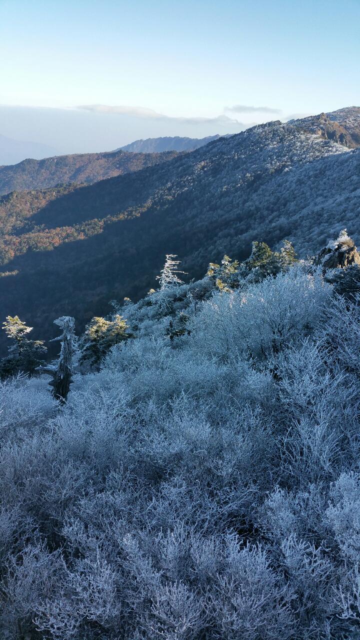 정직한일꾼들 이미지