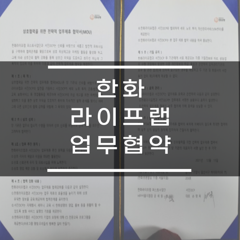 서진DCP 이미지