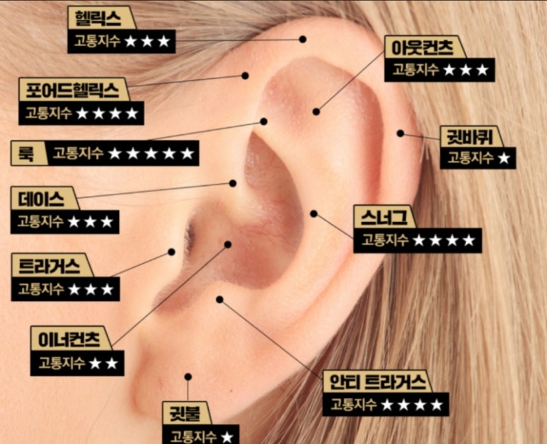 내사랑피어싱 이미지
