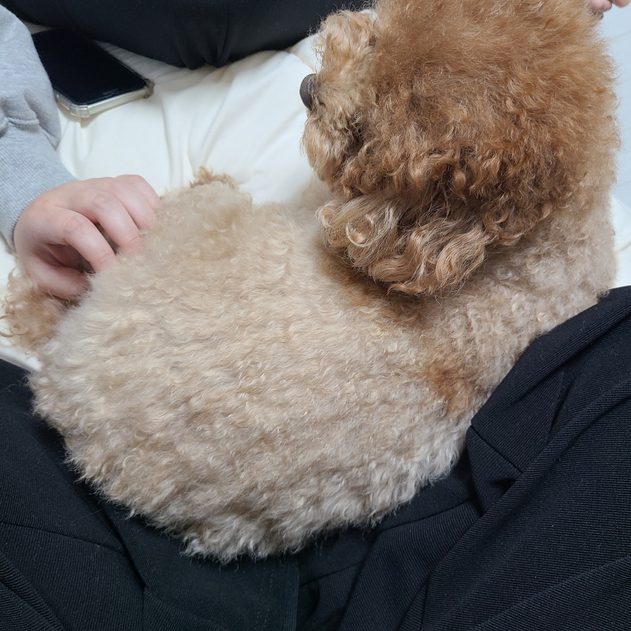 빽다방돈암아리랑점 이미지