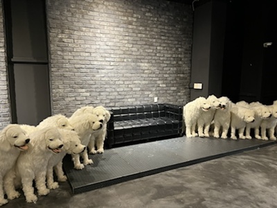 OLC광명철산극장 이미지