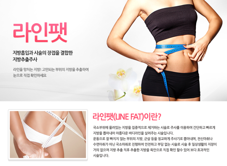 라인앤 이미지