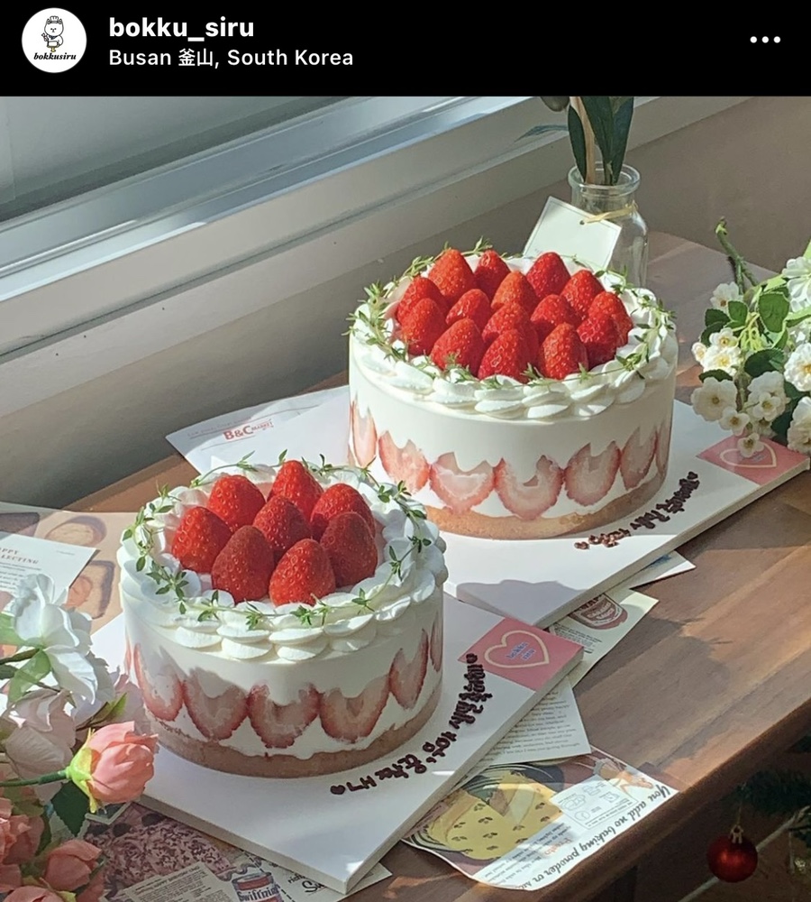 보꾸시루 이미지