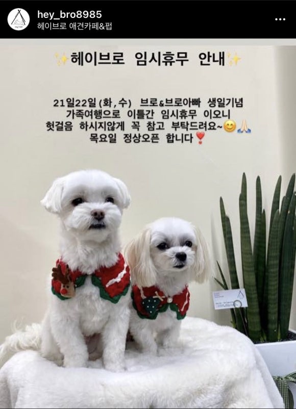 Hey Bro(헤이브로) 이미지