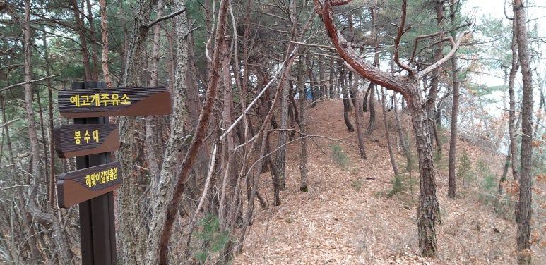 용암주유소 이미지