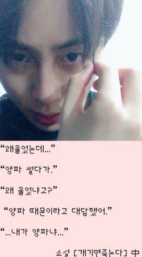 하피케이크 이미지