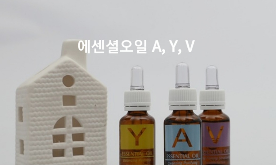 퀸에스테틱 이미지