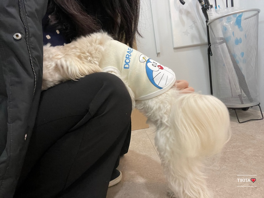 우리 네일봐 이미지