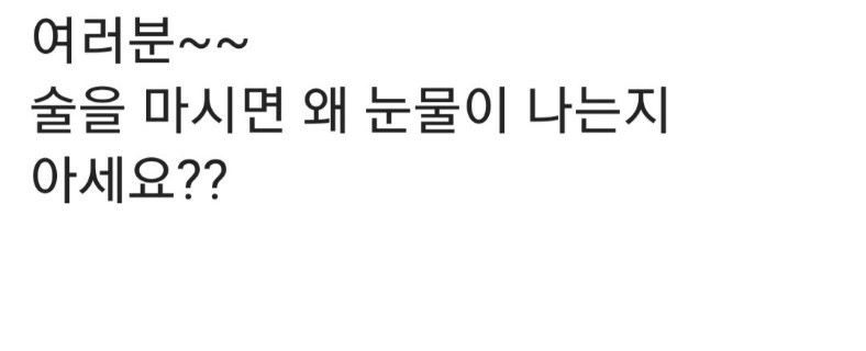 미미섬 이미지