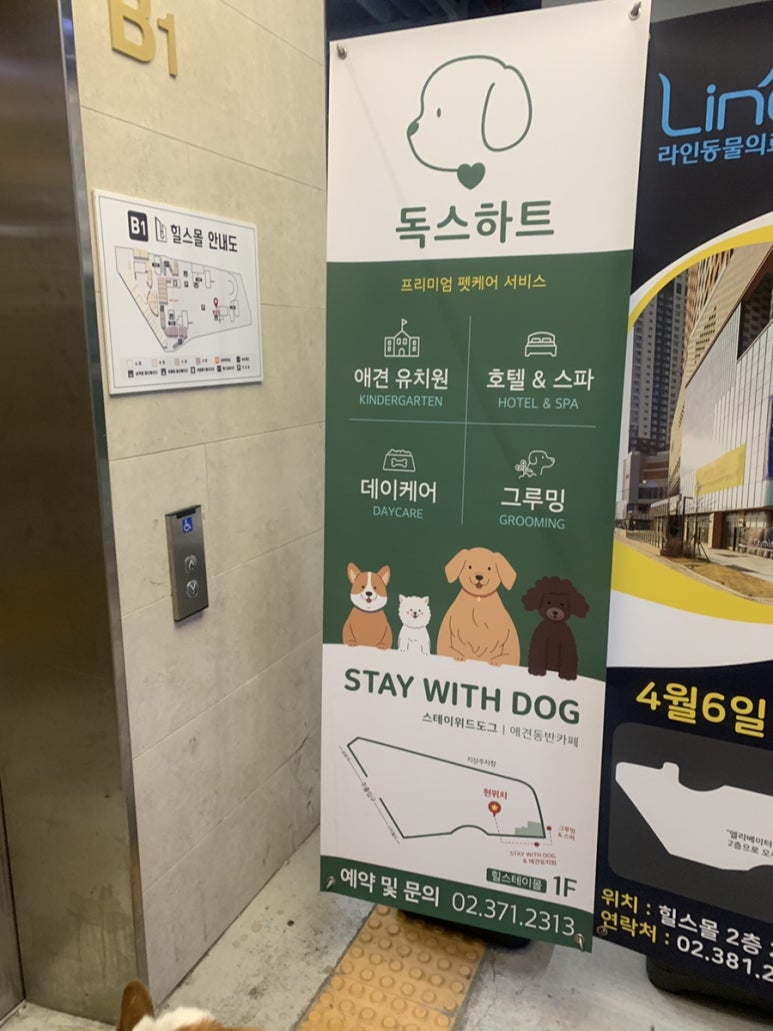 독스힐 이미지