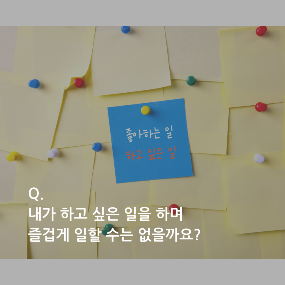 스쿨플러스 이미지