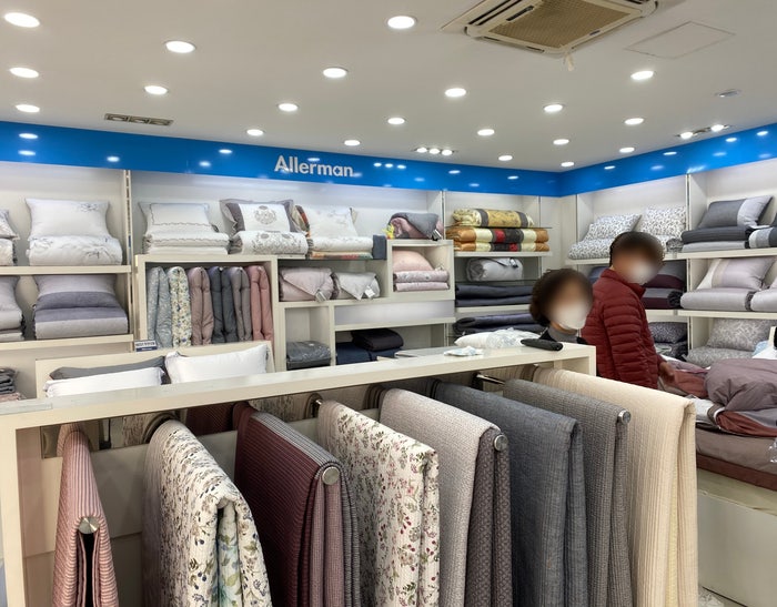 알레르망화성 이미지