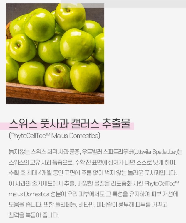 골드라이프 이미지