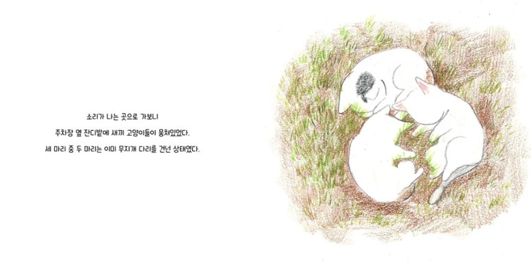 인터미디어 이미지