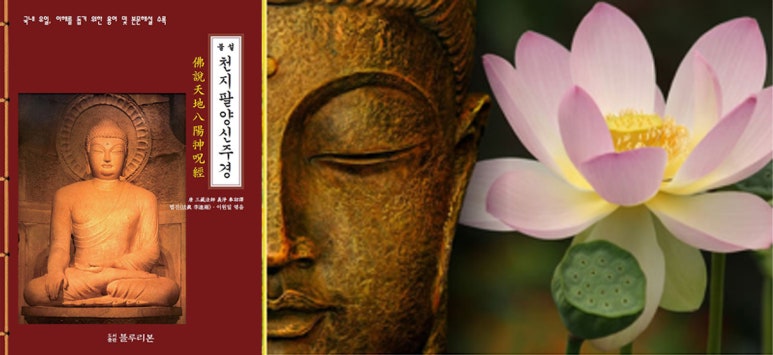천지바 이미지