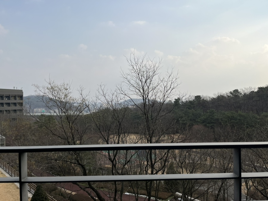 복자네막회포차 이미지