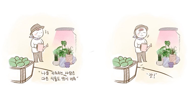 인터미디어 이미지