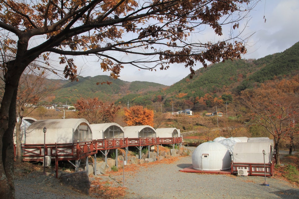 풍각전자 이미지