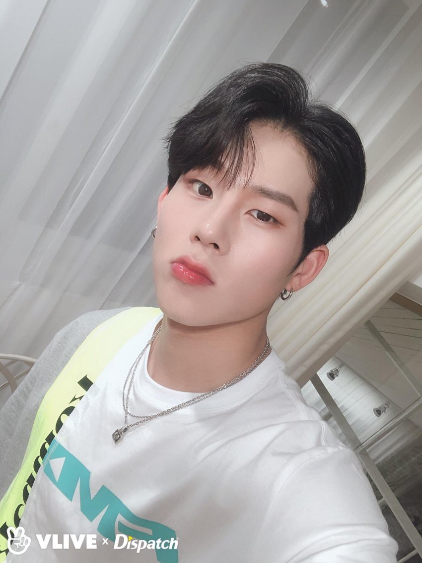 더 드리밍 이미지