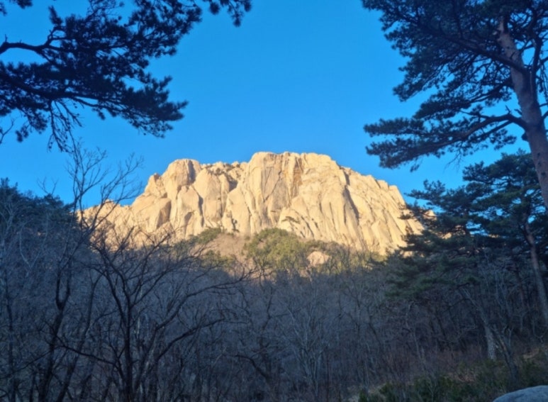 일이이로 이미지