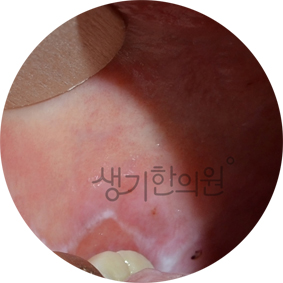 태선위생 이미지