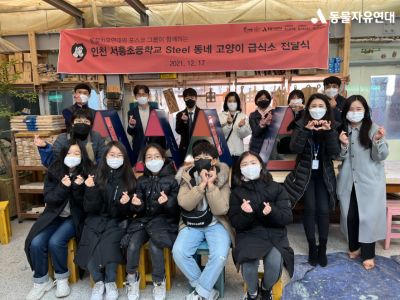 동네고양이 이미지