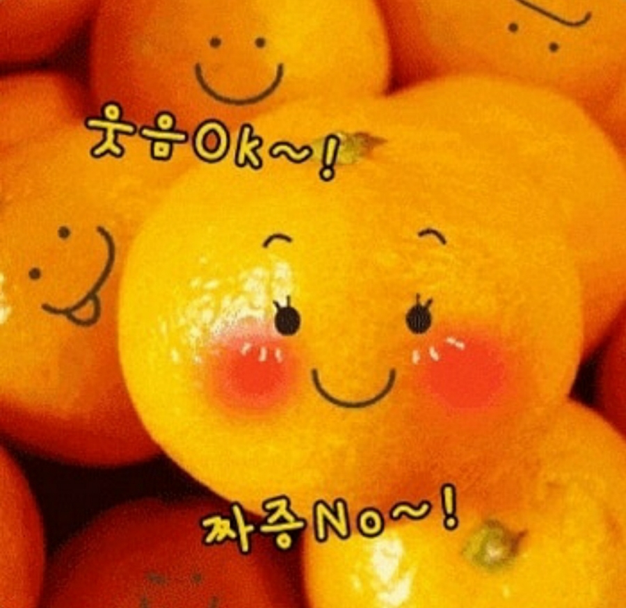 웃자웃자 이미지