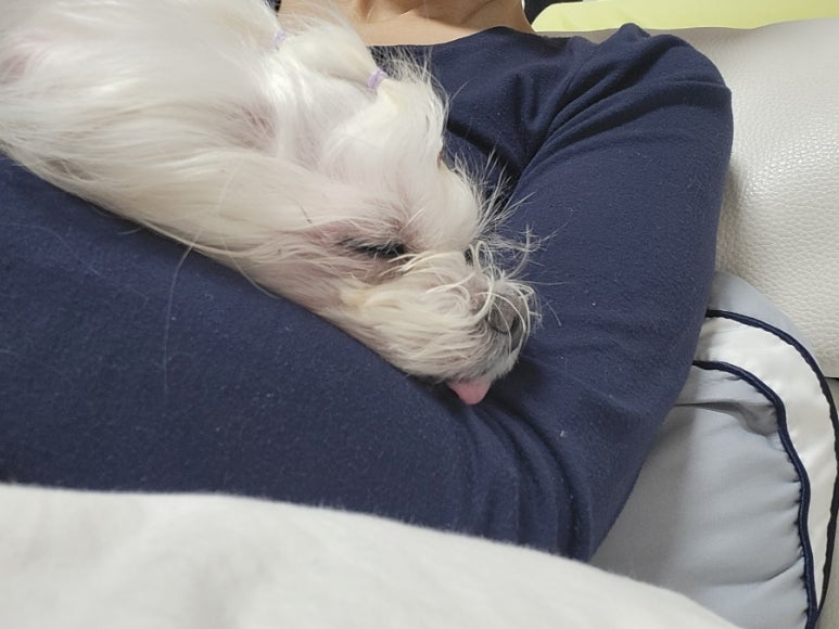 의정부서울안과의원 이미지