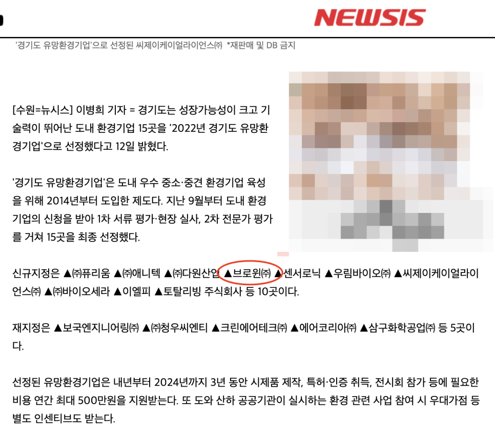 브로윈 이미지