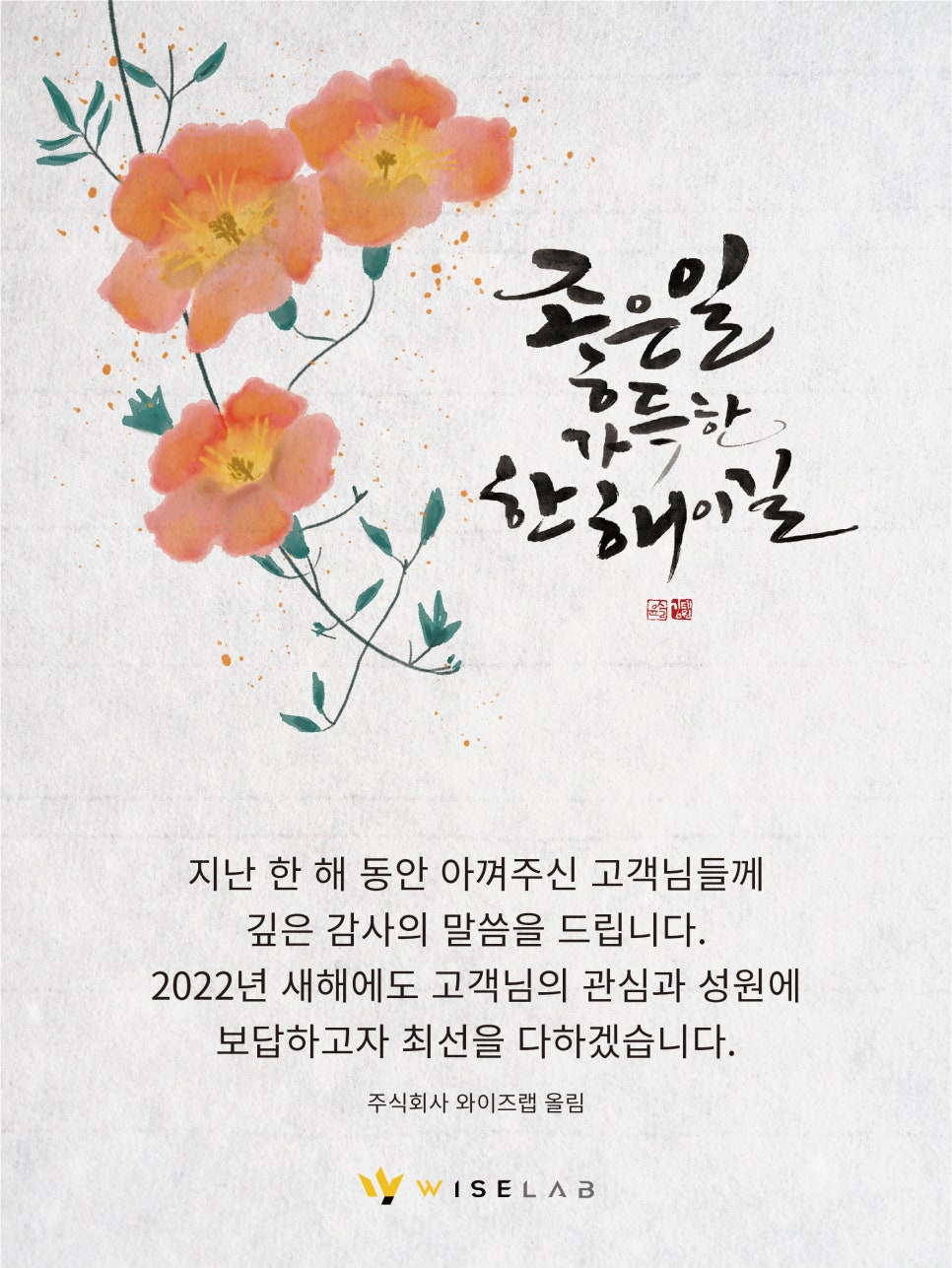와이즈랩 이미지