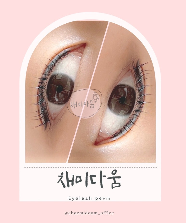 채미다움 이미지