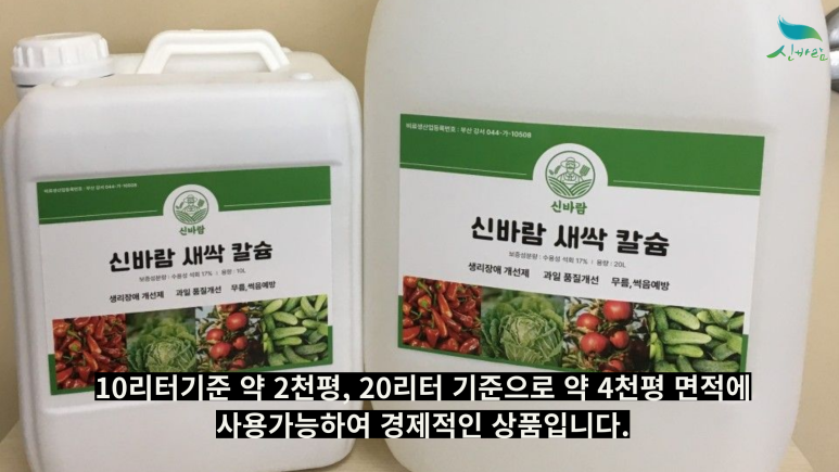 신바람기술 이미지