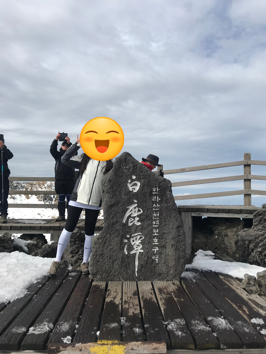 그린하우스김밥 이미지