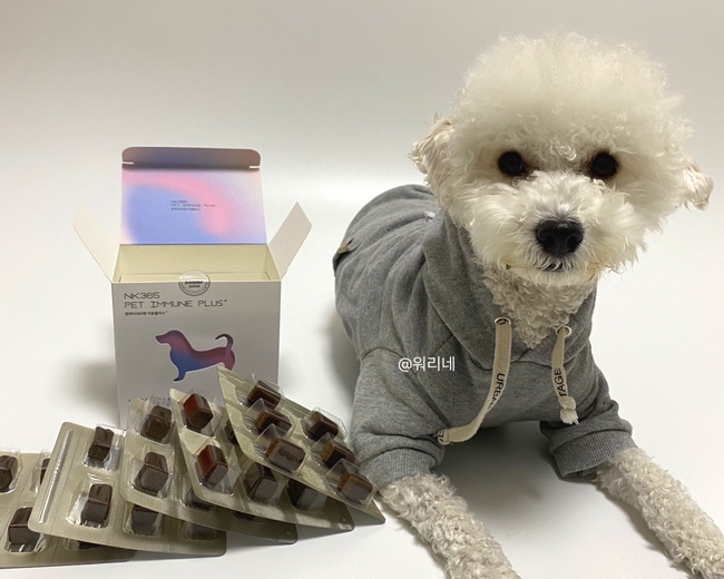 엔케이플러스 이미지