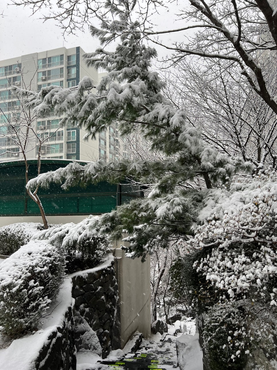 바다조개구이 이미지